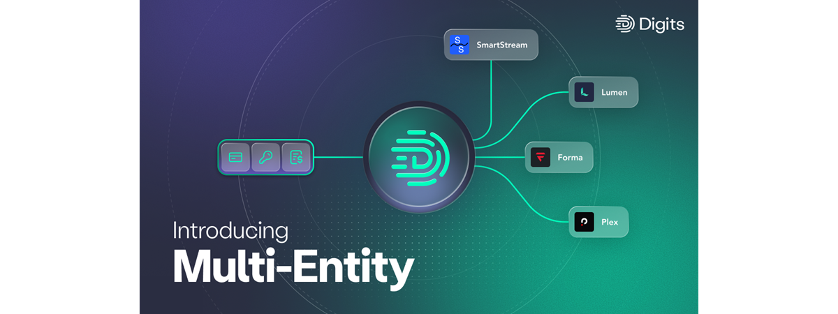 Digits Multi-entity