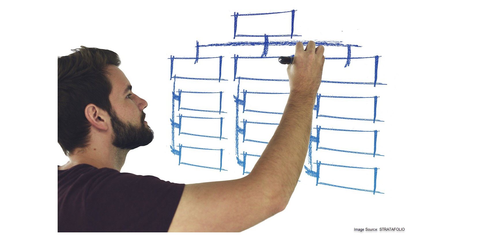 Entity structure_revised w credits