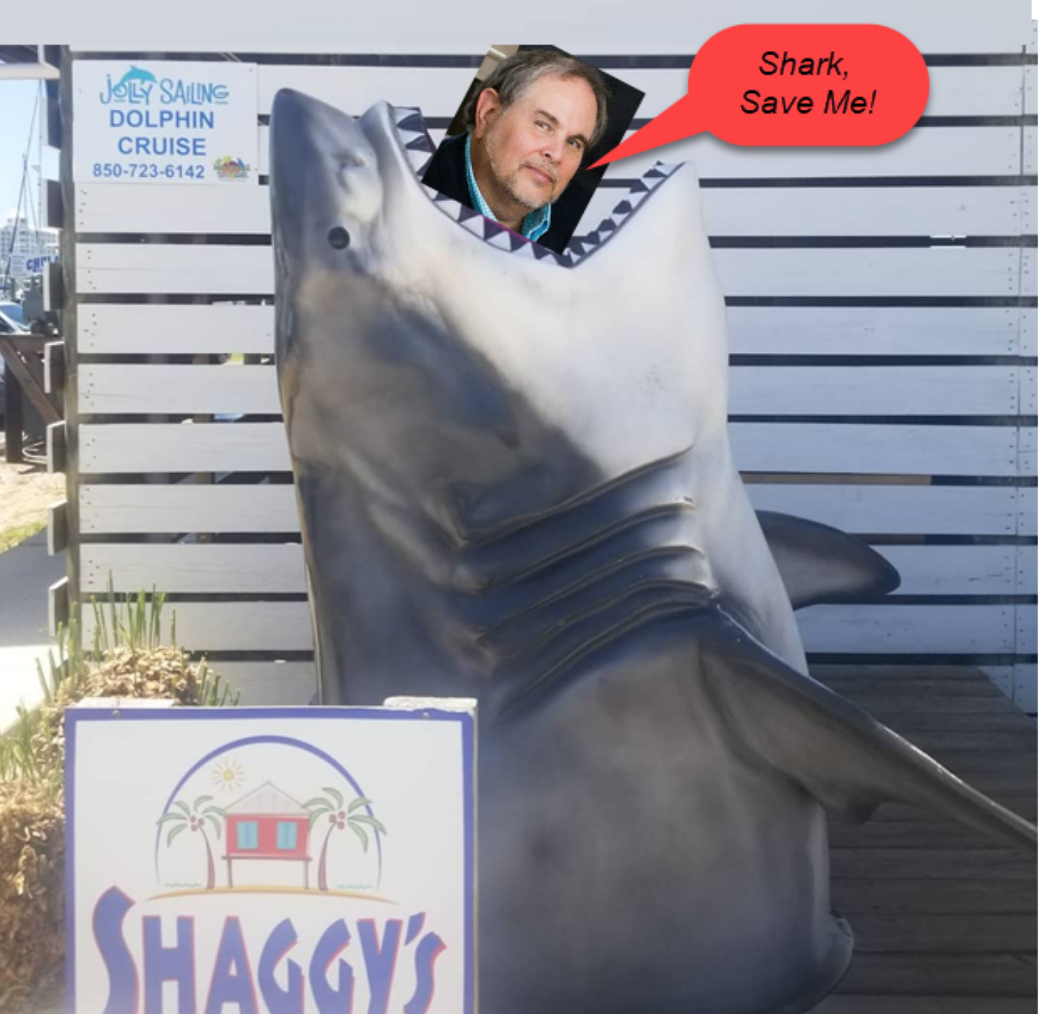 Shaggys_Shark